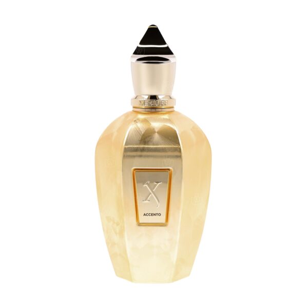 Xerjoff Accento Overdose The Vibe Collection Eau de Parfum for Unisex – 3.4 oz