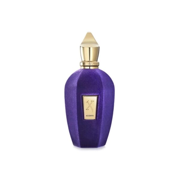 Xerjoff Accento The Vibe Collection Eau de Parfum for Unisex – 3.4 oz