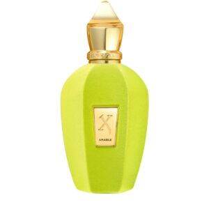 Xerjoff Amabile The Vibe Collection Eau de Parfum for Unisex – 3.4 oz