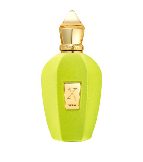 Xerjoff Amabile The Vibe Collection Eau de Parfum for Unisex – 3.4 oz
