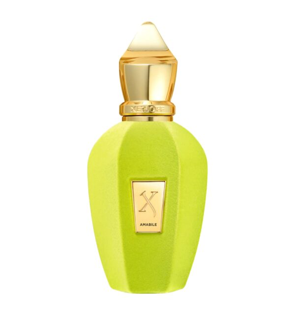 Xerjoff Amabile The Vibe Collection Eau de Parfum for Unisex – 1.7 oz