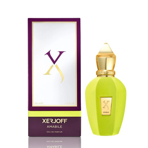 Xerjoff Amabile The Vibe Collection Eau de Parfum for Unisex – 3.4 oz