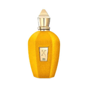 Xerjoff Erba Gold The Vibe Collection Eau de Parfum for Unisex – 3.4 oz