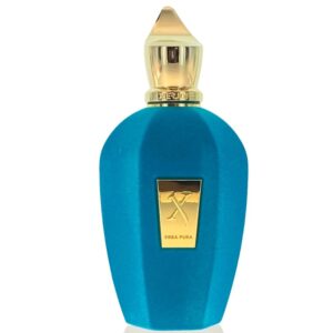 Xerjoff Erba Pura The Vibe Collection Eau de Parfum for Unisex – 3.4 oz