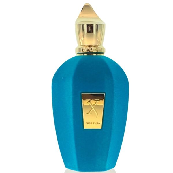Xerjoff Erba Pura The Vibe Collection Eau de Parfum for Unisex – 3.4 oz