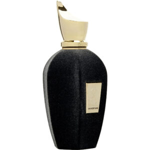 Xerjoff Ouverture * Eau de Parfum for Unisex – 3.4 oz