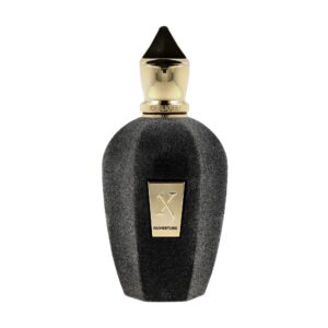 Xerjoff Ouverture The Vibe Collection Eau de Parfum for Unisex – 3.4 oz