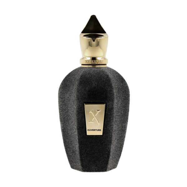Xerjoff Ouverture The Vibe Collection Eau de Parfum for Unisex – 3.4 oz