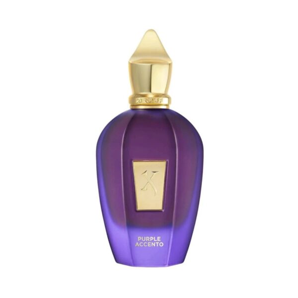 Xerjoff Purple Accento The Vibe Collection Eau de Parfum for Unisex – 3.4 oz