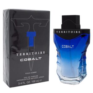 YZY Perfume YZY Territoire Cobalt Eau de Parfum for Men – 3.4 oz