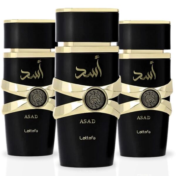 Lattafa Asad Pack of 3 Eau de Parfum for Unisex – 100 ml