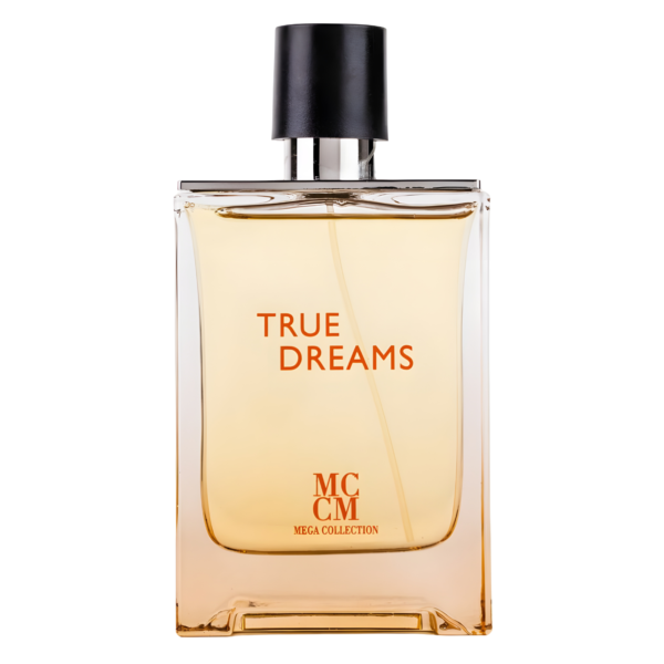 Mega Collection True Dreams for Everyone Eau de Parfum for Unisex – 3.4 oz / 100 ml