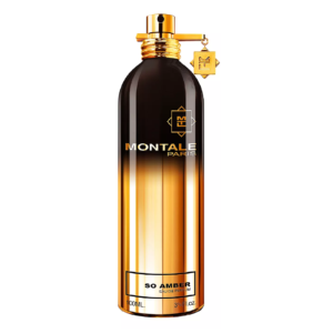 Montale So Amber for Everyone Eau de Parfum for Unisex – 3.4 oz / 100 ml Spray Tester