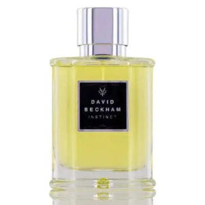 David Beckham Instinct Eau de Toilette for Men