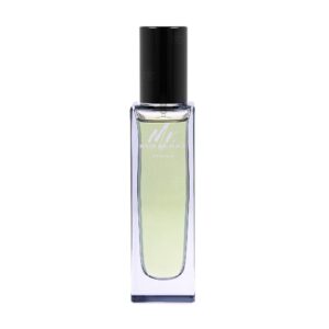 Burberry Mr. Indigo Eau de Toilette for Men