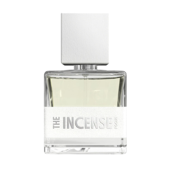 Fragrance One The Incense Eau de Parfum for Men