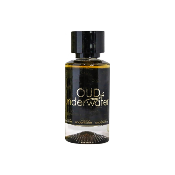 Luxury Concept Perfumes Oud Underwater Leather Wood Eau de Parfum for Unisex Luxury Concept Perfumes Oud Underwater Leather Wood Eau de Parfum for Unisex