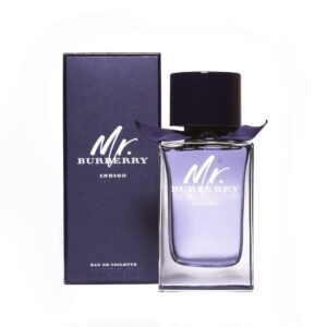 Mr Burberry Indigo Eau de Toilette for Men