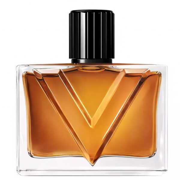 Valentino Vendetta Uomo Eau de Parfum for Men Valentino Vendetta Uomo Eau de Parfum for Men